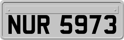 NUR5973