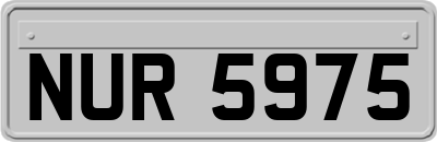 NUR5975