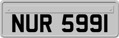 NUR5991