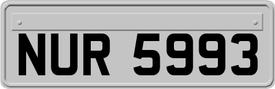 NUR5993