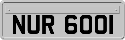 NUR6001