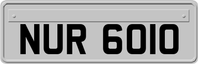 NUR6010