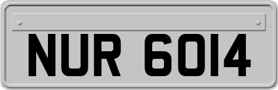 NUR6014