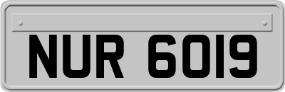 NUR6019