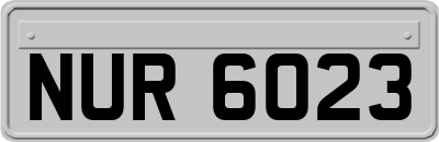 NUR6023