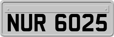 NUR6025