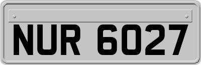 NUR6027