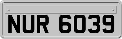 NUR6039