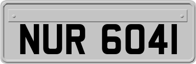 NUR6041