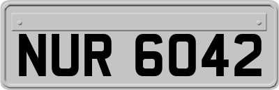 NUR6042
