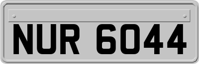 NUR6044