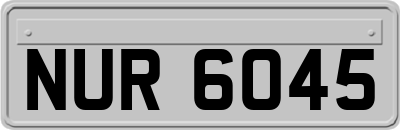 NUR6045