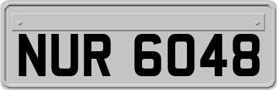 NUR6048