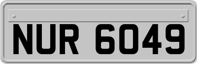 NUR6049