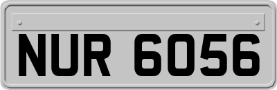 NUR6056