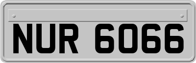 NUR6066