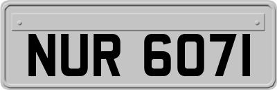 NUR6071