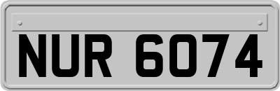 NUR6074
