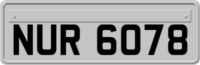 NUR6078