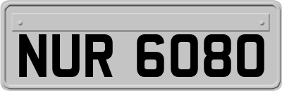 NUR6080