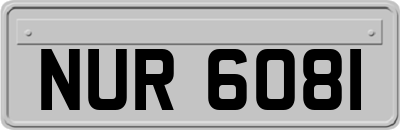 NUR6081