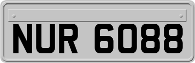 NUR6088