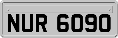 NUR6090