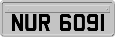 NUR6091