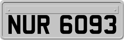 NUR6093