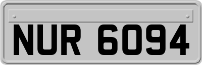 NUR6094