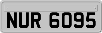 NUR6095