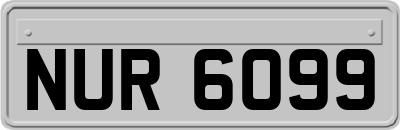 NUR6099