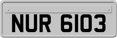 NUR6103