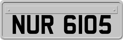 NUR6105