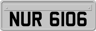 NUR6106