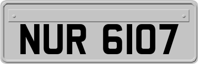 NUR6107