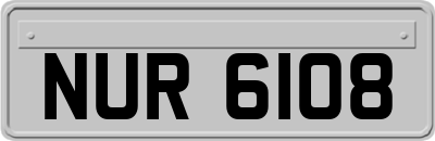 NUR6108