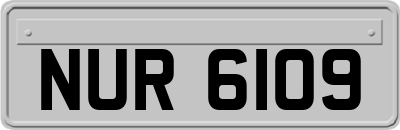 NUR6109