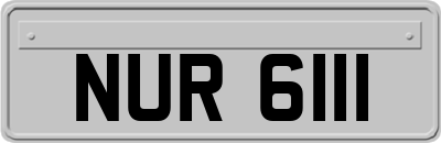 NUR6111