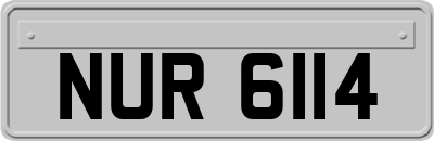 NUR6114