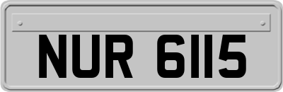 NUR6115