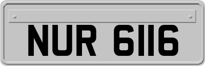 NUR6116