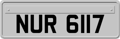NUR6117