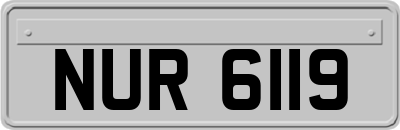 NUR6119