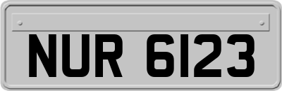 NUR6123
