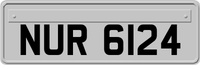 NUR6124