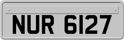 NUR6127