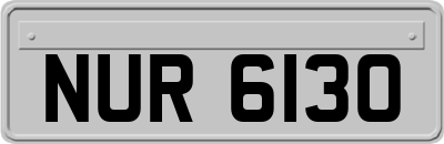 NUR6130