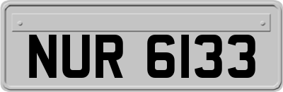 NUR6133