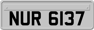 NUR6137